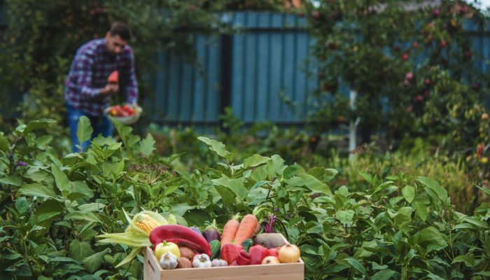 Planting a Garden with Your Dietary Needs in Mind