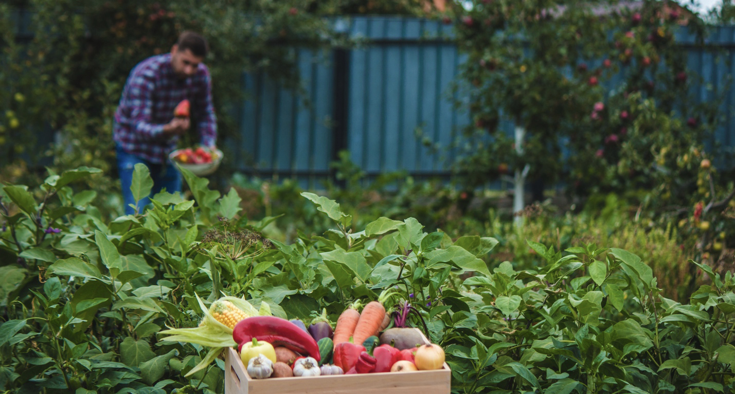 Planting a Garden with Your Dietary Needs in Mind