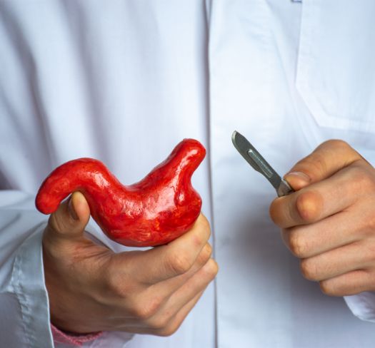 Surgeon Holding Stomach Model And Scalpel